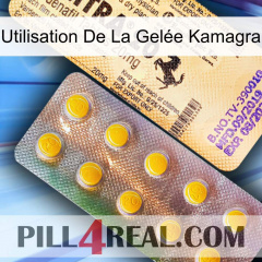 Utilisation De La Gelée Kamagra new06